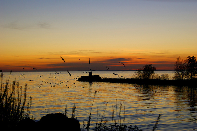 Lough Neagh of Northern Ireland. Image: Mark Taggart