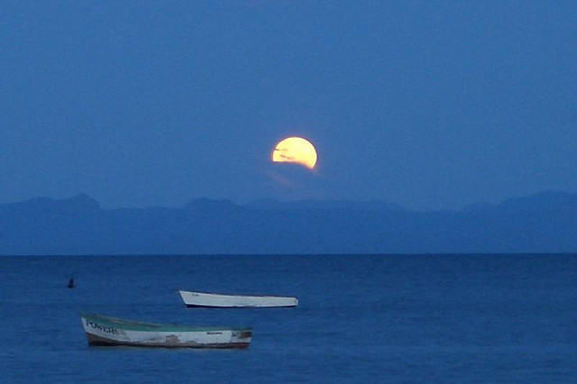 Lake Malawi - Image by biddmia